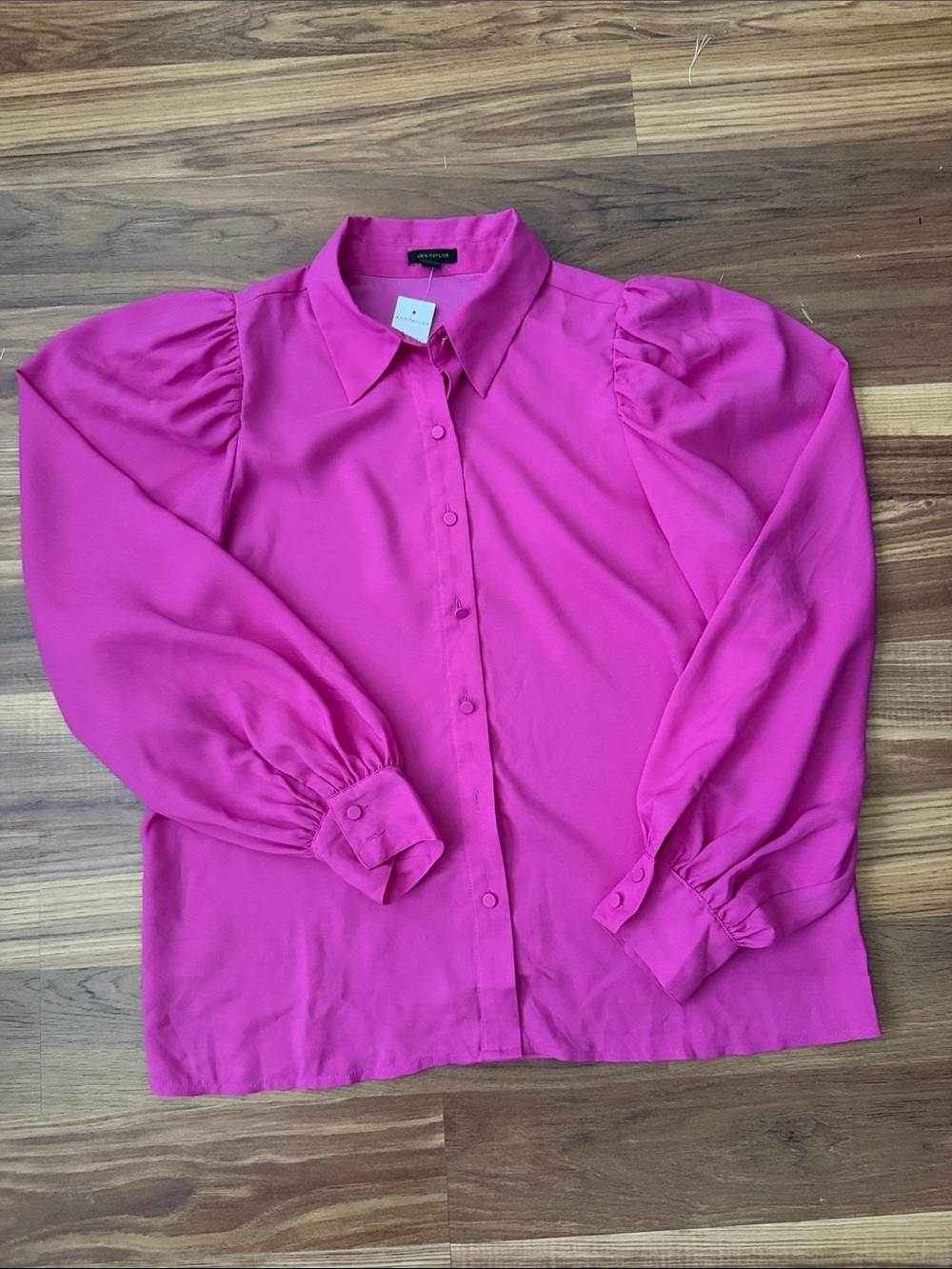 Ann Taylor Blouse